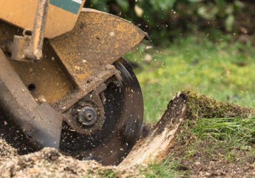 Home Improvement Stores with Stump Grinder Rentals