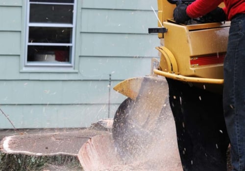 Manual Stump Grinder Cost - What You Need to Know