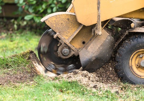 Cost of a Portable Stump Grinder