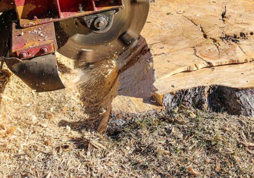 Online Companies Offering Stump Grinding Services