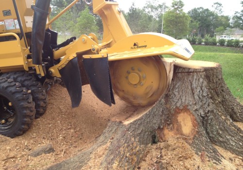 The Essential Training Requirements for Renting a Stump Grinder